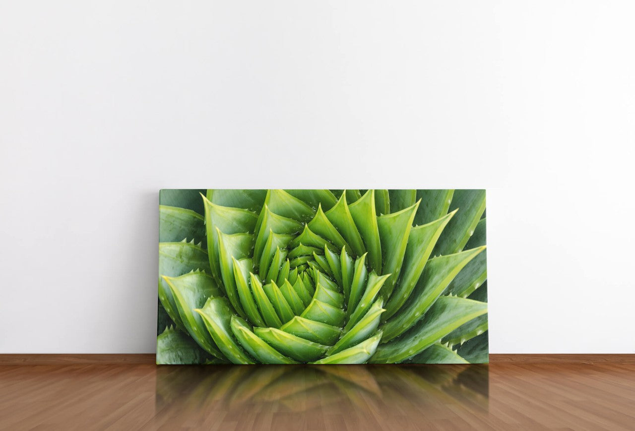 shutterstock_719652712vOQHytsU0kjDR_1280x1280.jpg