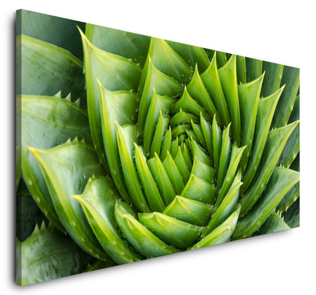 shutterstock_719652712x9Y3O56yo1Vye_1280x1280.jpg