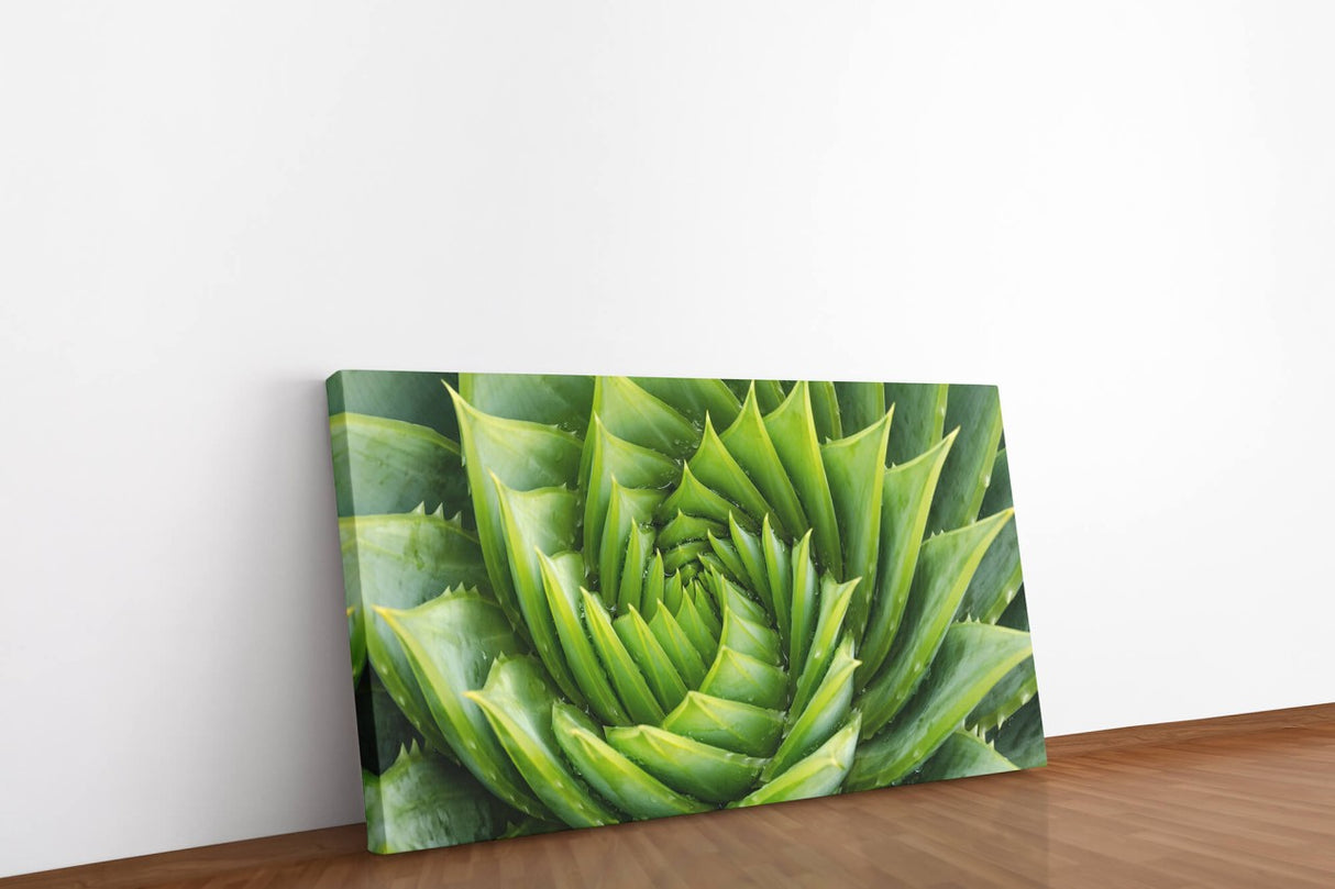 shutterstock_719652712xbKve16HfPJDg_1280x1280.jpg