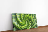 shutterstock_719652712xbKve16HfPJDg_1280x1280.jpg