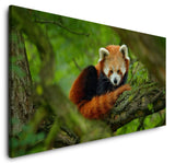 shutterstock_725403232ZDG80CBjvTwRt_1280x1280.jpg