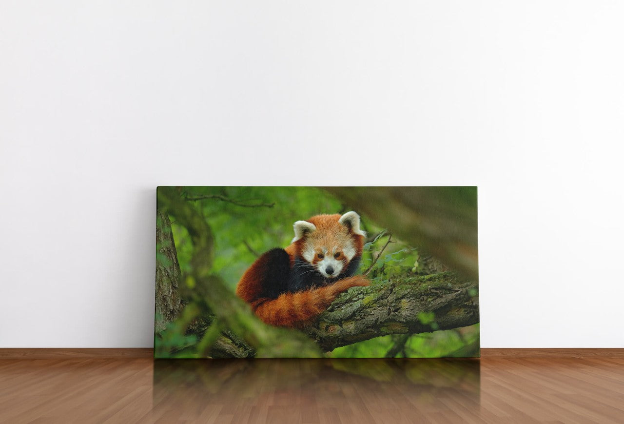shutterstock_725403232aY62Cgt8he26l_1280x1280.jpg