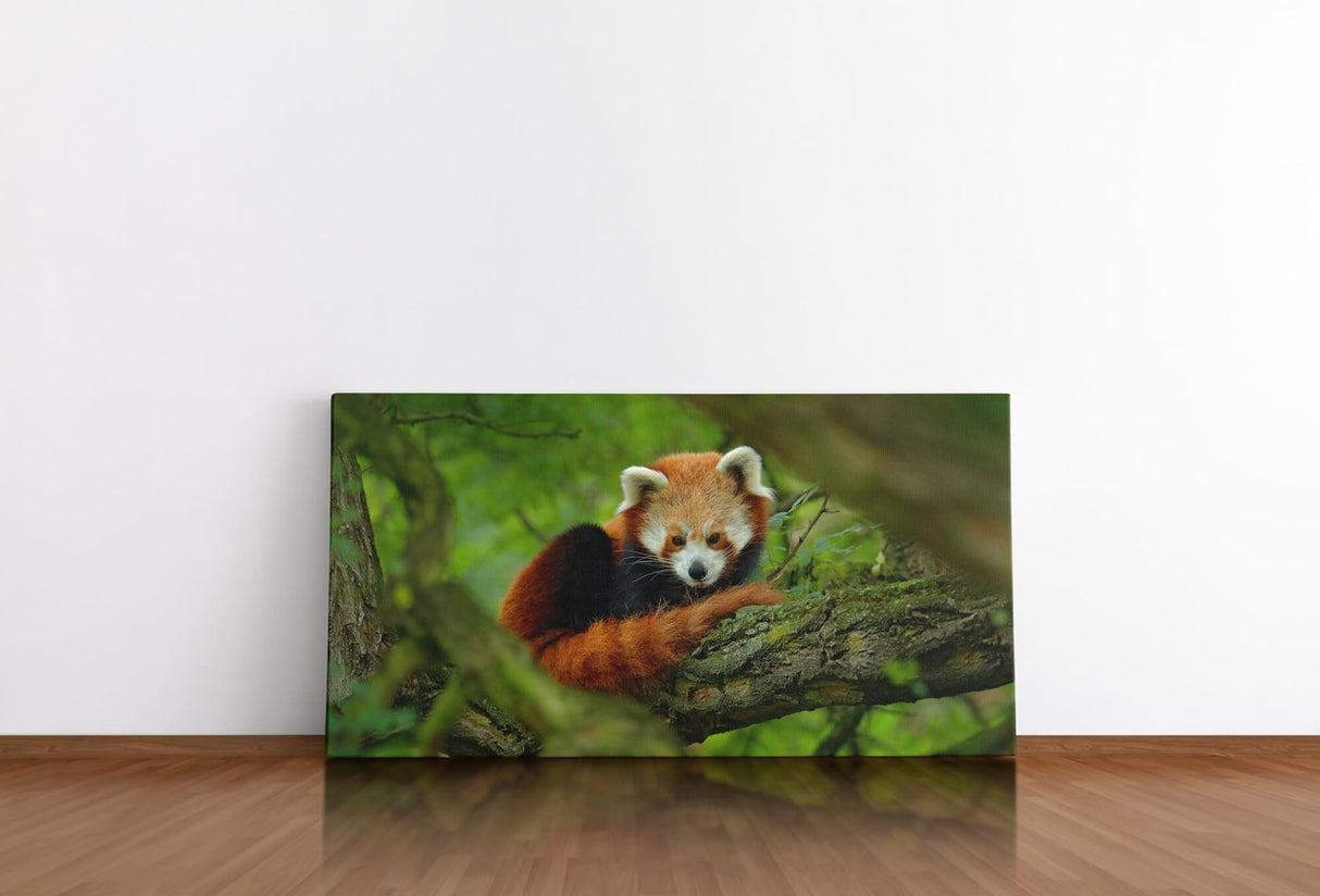 shutterstock_725403232aY62Cgt8he26l_1280x1280.jpg