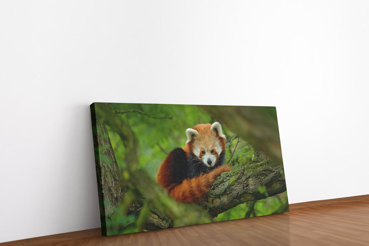 shutterstock_725403232dzH06TE55W90G_1280x1280.jpg