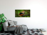 shutterstock_725403232flbDRn05CtM96_1280x1280.jpg
