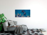 shutterstock_748021840NT8hWPpIZtIyB_1280x1280.jpg