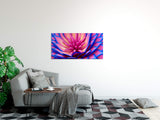 shutterstock_771208705Ecv9CyB3vdYDb_1280x1280.jpg