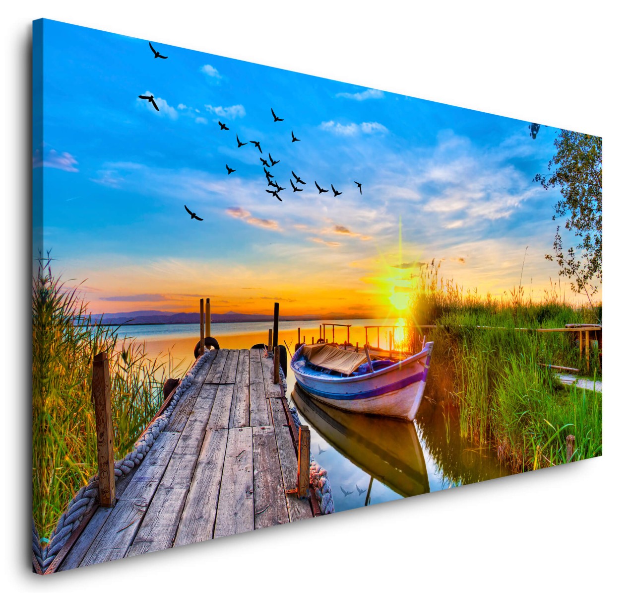 shutterstock_7725900227HcdkVbNMe17A_1280x1280.jpg