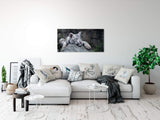 shutterstock_77629105E1ROQz0mv1FmS_1280x1280.jpg