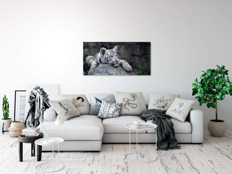 shutterstock_77629105E1ROQz0mv1FmS_1280x1280.jpg