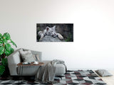 shutterstock_77629105JAhIhwWcV4w69_1280x1280.jpg
