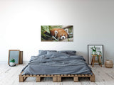 shutterstock_780819982RRb8xHSx3FptJ_1280x1280.jpg