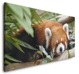 shutterstock_780819982Y0DqfA8FkERaW_1280x1280.jpg