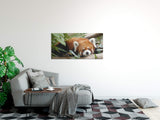 shutterstock_780819982ar2mN4aMav2fB_1280x1280.jpg