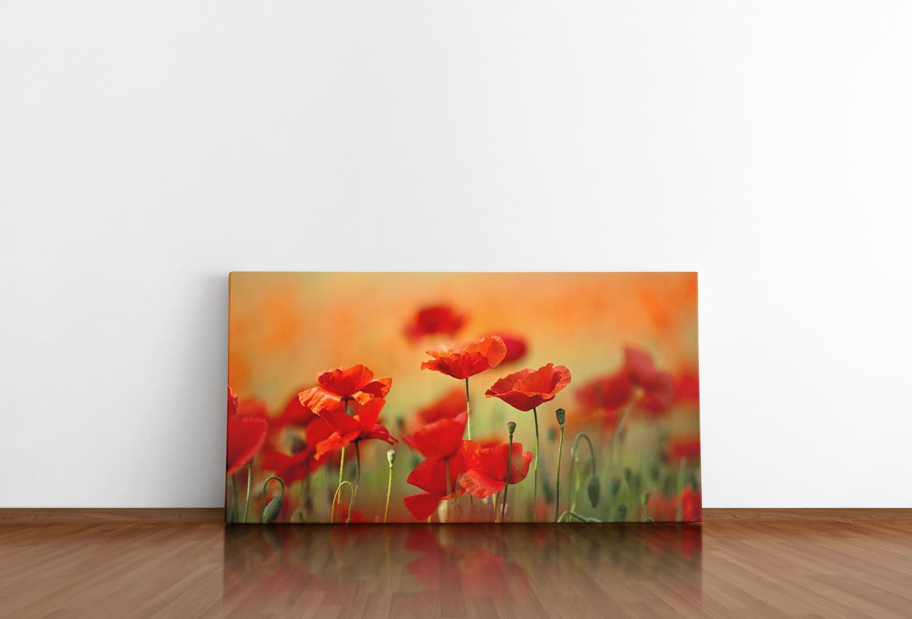 shutterstock_80883484DiDU0L5seK81C_1280x1280.jpg