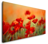 shutterstock_80883484P89hebv5MWsjw_1280x1280.jpg