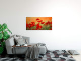 shutterstock_80883484VQZKgtGgE4hrd_1280x1280.jpg
