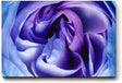 Sinus Art Wandbild 120x80cm Abstrakte Blütenstruktur in Violett- und Blautönen – sinnlich, edel und modern
