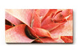 Sinus Art Wandbild 120x80cm Abstrakte Makroaufnahme einer roten Pflanze – organisch, dynamisch und einzigartig