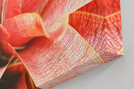 Sinus Art Wandbild 120x80cm Abstrakte Makroaufnahme einer roten Pflanze – organisch, dynamisch und einzigartig