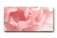 Sinus Art Wandbild 120x80cm Abstrakte Makroperspektive einer Lotusblüte – kunstvoll und symbolisch zugleich