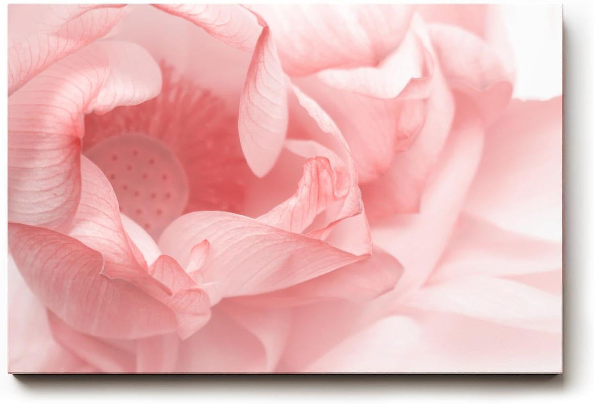 Sinus Art Wandbild 120x80cm Abstrakte Makroperspektive einer Lotusblüte – kunstvoll und symbolisch zugleich