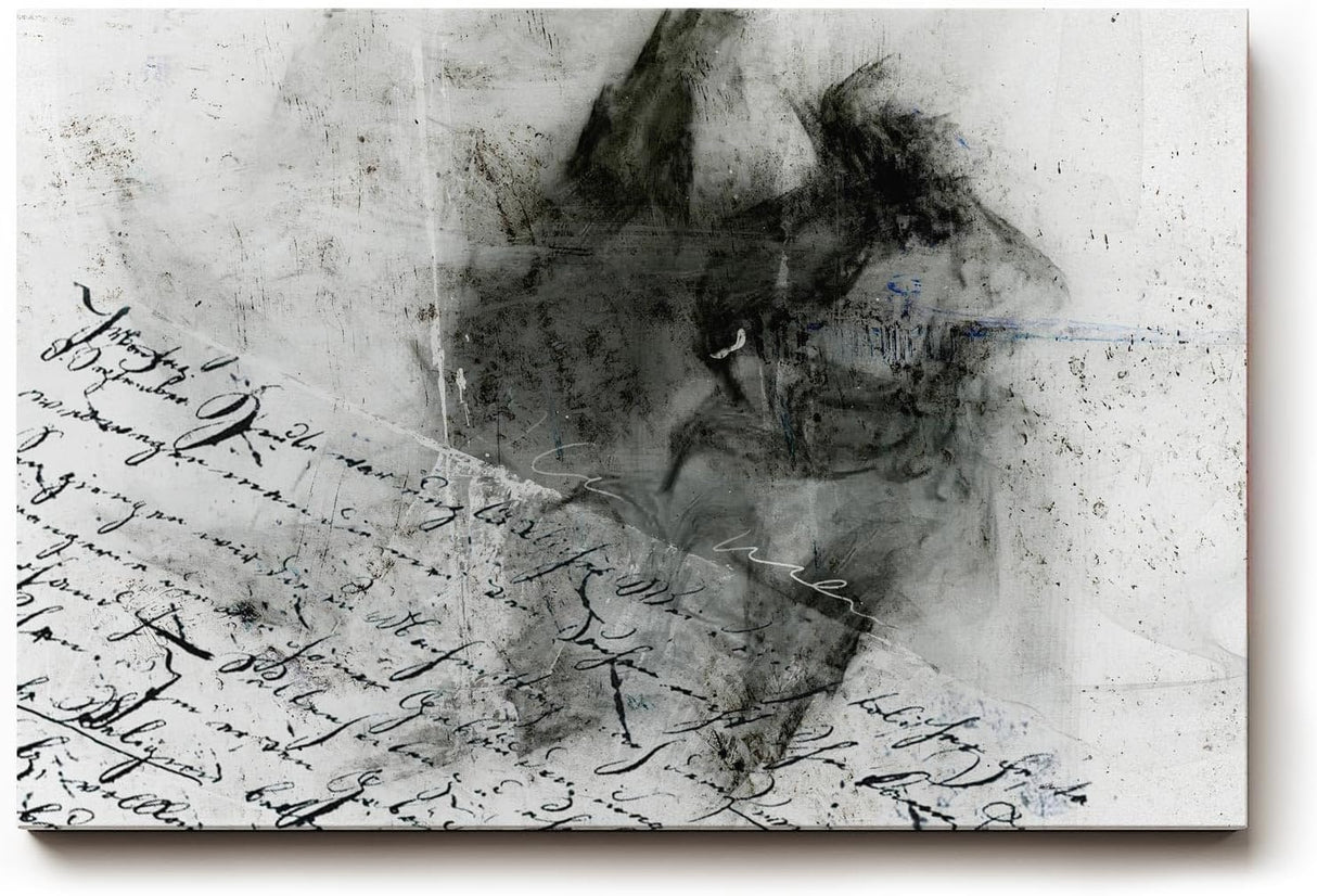 Sinus Art Wandbild 120x80cm Abstraktes Porträt, handschriftliche Elemente und rauchige Strukturen in Schwarzweiß