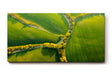 Sinus Art Wandbild 120x80cm Atemberaubende Luftaufnahme mit geometrisch verlaufenden Baumreihen auf sattem Grün