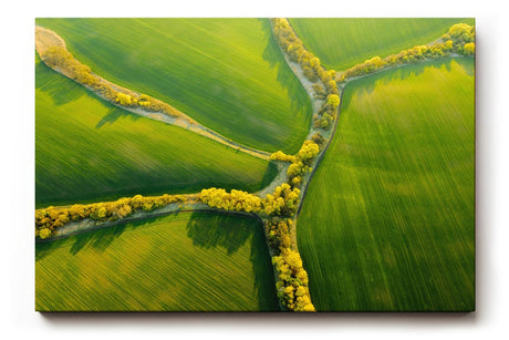 Sinus Art Wandbild 120x80cm Atemberaubende Luftaufnahme mit geometrisch verlaufenden Baumreihen auf sattem Grün