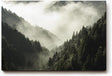 Sinus Art Wandbild 120x80cm Dichter Nadelwald unter ziehendem Nebel – geheimnisvoll, ruhig und atmosphärisch