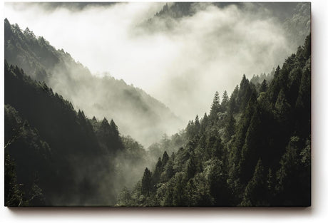 Sinus Art Wandbild 120x80cm Dichter Nadelwald unter ziehendem Nebel – geheimnisvoll, ruhig und atmosphärisch