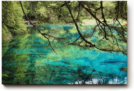 Sinus Art Wandbild 120x80cm Die Äste im Vordergrund und das klare Wasser erzeugen Tiefe und beruhigende Natürlichkeit