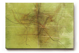 Sinus Art Wandbild 120x80cm Die feinen braunen Linien wirken wie gezeichnet und geben dem Bild eine natürliche Dynamik