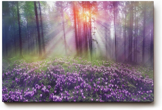 Sinus Art Wandbild 120x80cm Die lila Krokusse im Vordergrund und das Lichtspiel im Wald erzeugen eine zauberhafte Atmosphäre