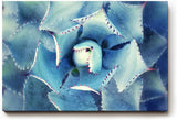 Sinus Art Wandbild 120x80cm Die symmetrische Form der Agavenblätter wirkt strukturiert, ästhetisch und beruhigend