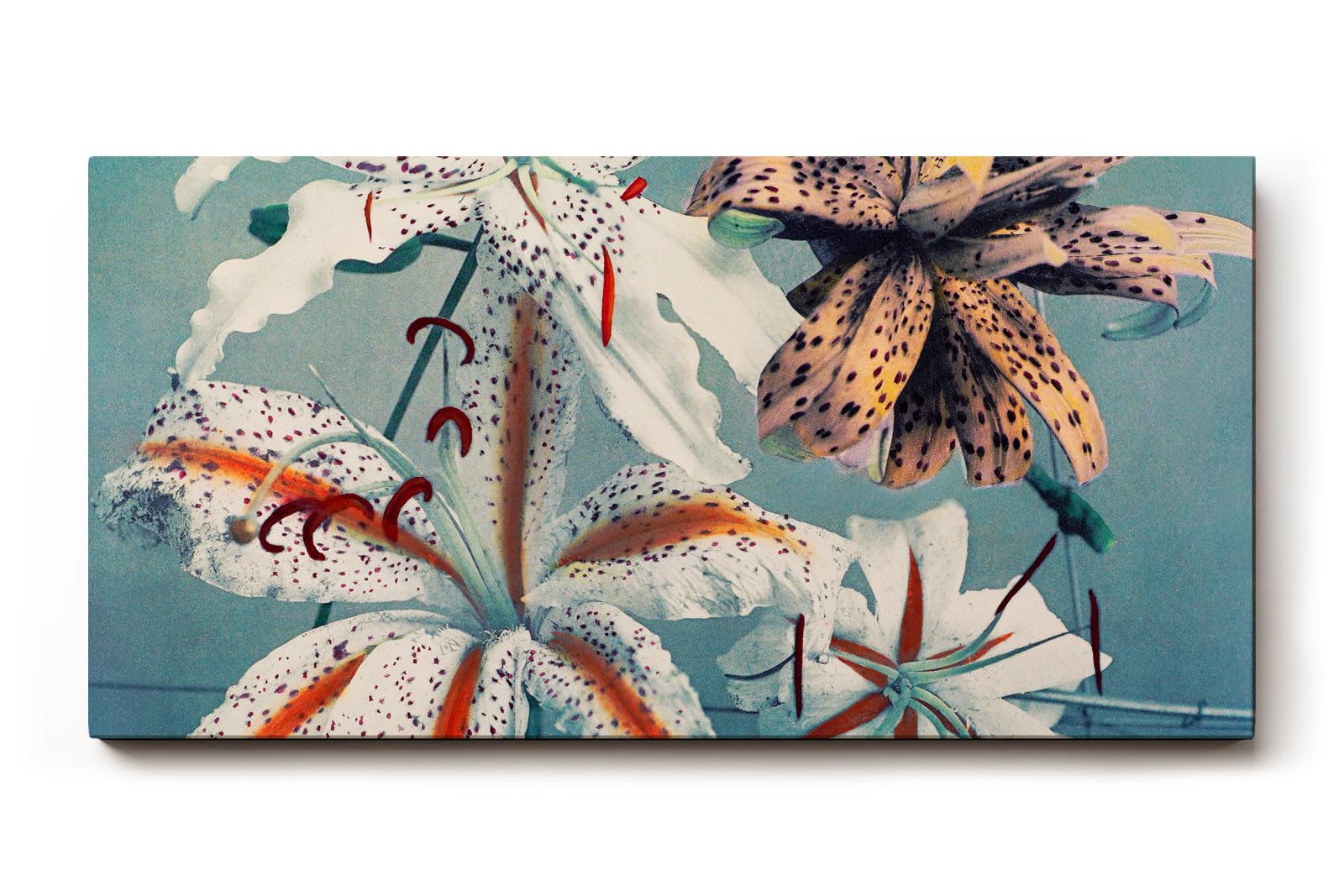 Sinus Art Wandbild 120x80cm Exotische Lilien in Weiß, Orange und Braun auf blauem Hintergrund mit Vintage-Flair