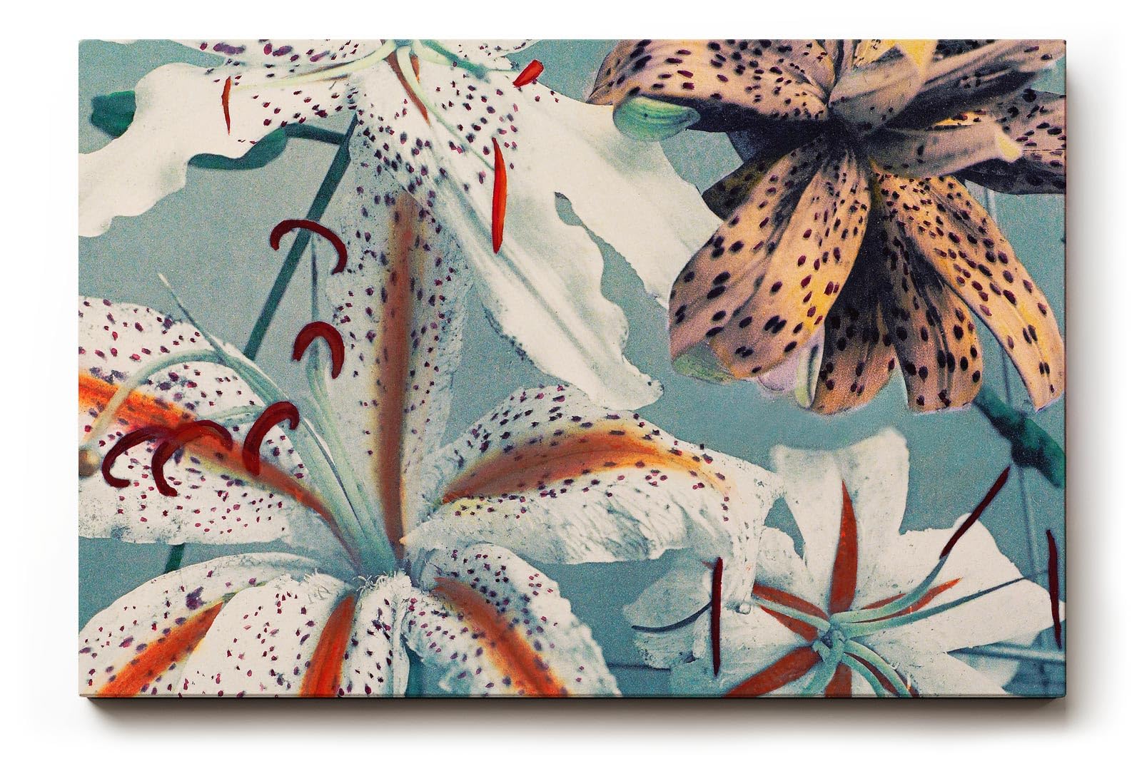 Sinus Art Wandbild 120x80cm Exotische Lilien in Weiß, Orange und Braun auf blauem Hintergrund mit Vintage-Flair