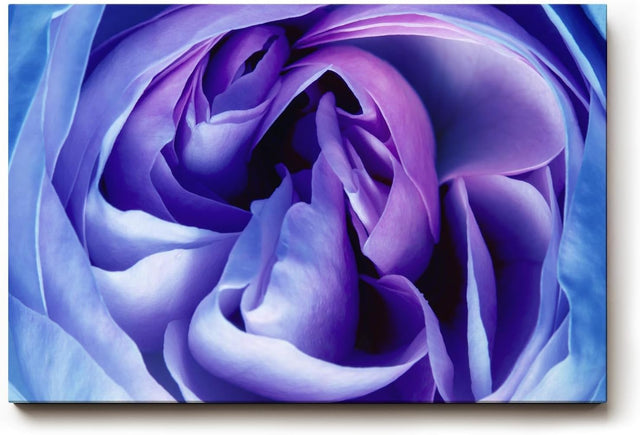Sinus Art Wandbild 120x80cm Faszinierende Blütenwirbel in violetten und blauen Farbtönen mit edler Ausstrahlung