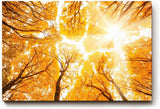 Sinus Art Wandbild 120x80cm Faszinierender Blick durch herbstlich gefärbte Baumwipfel in warmem Licht