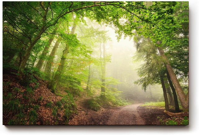 Sinus Art Wandbild 120x80cm Faszinierender Waldweg mit mystischem Nebel für Ruhe und Tiefe in jedem Raum