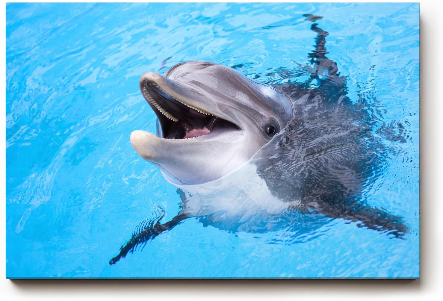 Sinus Art Wandbild 120x80cm Freundlicher Delfin in klarem Wasser – ein lebendiges und positives Motiv