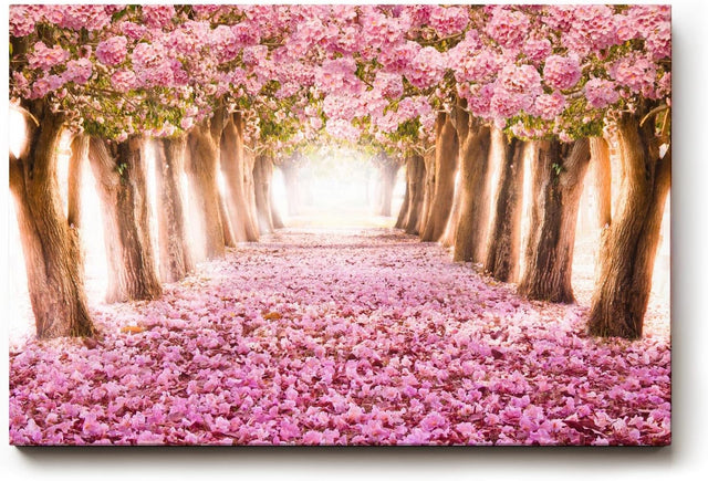 Sinus Art Wandbild 120x80cm Märchenhafter Weg unter rosa Blütenbäumen mit Perspektive und Tiefe