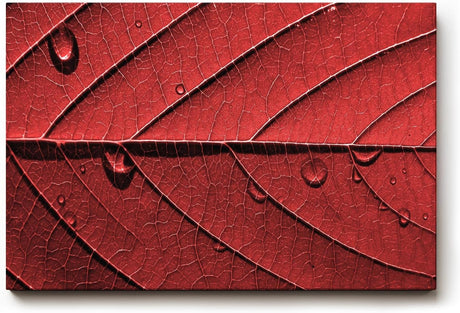 Sinus Art Wandbild 120x80cm Perfektes Motiv für alle, die grafische Naturästhetik mit Eleganz verbinden