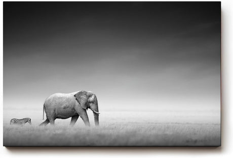 Sinus Art Wandbild 120x80cm Stimmungsvolle Szene mit Elefant und Zebra in weiter Graslandschaft als Symbol für Harmonie