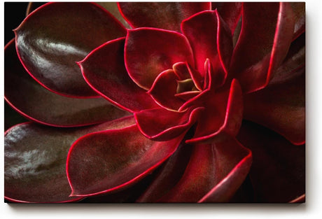 Sinus Art Wandbild 120x80cm Tiefe Rottöne mit natürlichem Glanz und faszinierender Formgebung der Blätter