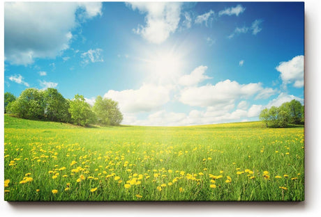 Sinus Art Wandbild 120x80cm Weite Frühlingswiese mit gelben Blüten und strahlendem Himmel für fröhliche Atmosphäre