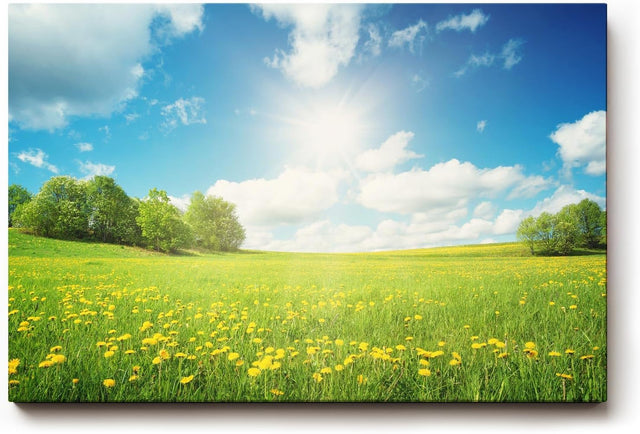 Sinus Art Wandbild 120x80cm Weite Frühlingswiese mit gelben Blüten und strahlendem Himmel für fröhliche Atmosphäre