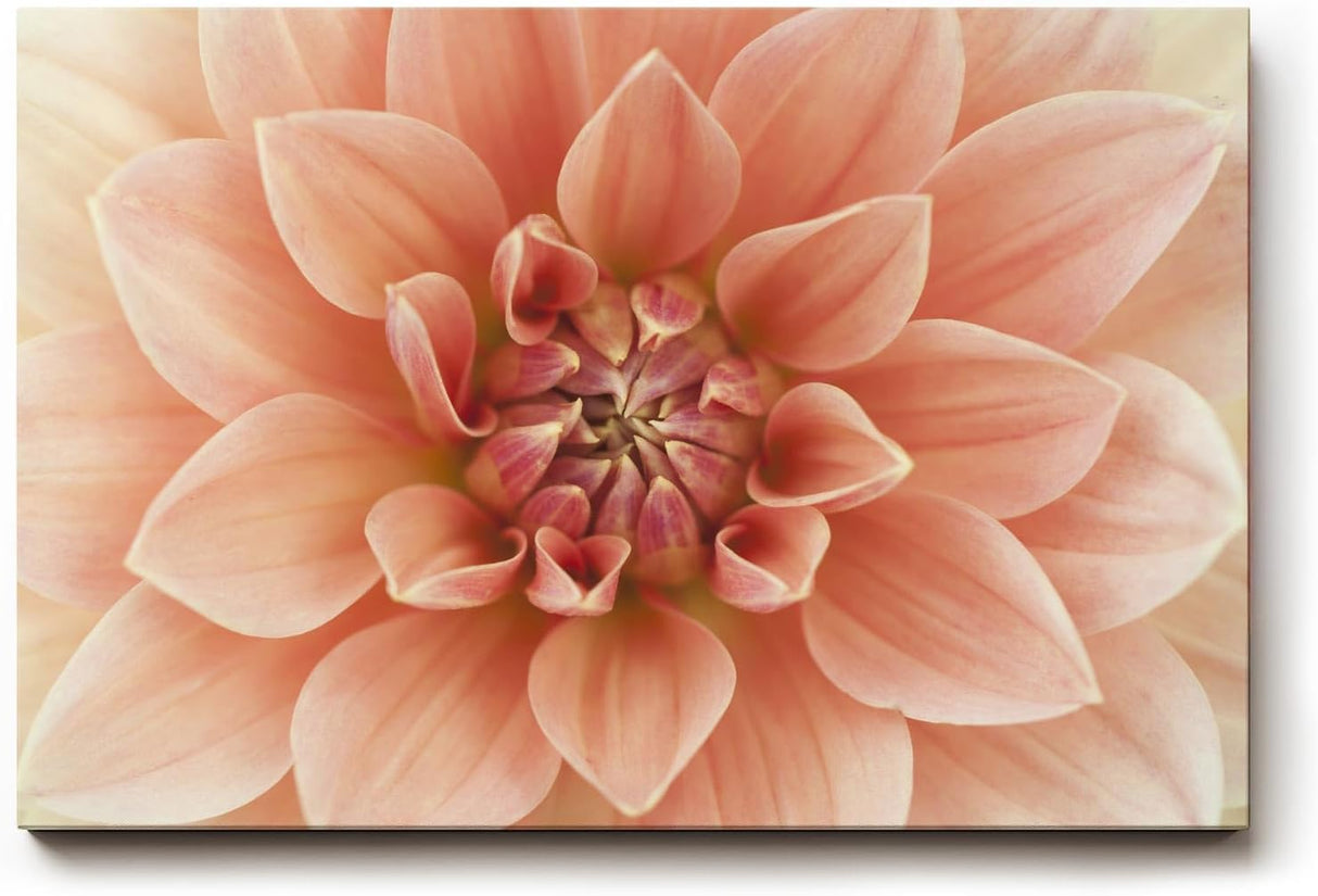 Sinus Art Wandbild 120x80cm Zentrierte Dahlienblüte mit perfekter Symmetrie und weicher Textur