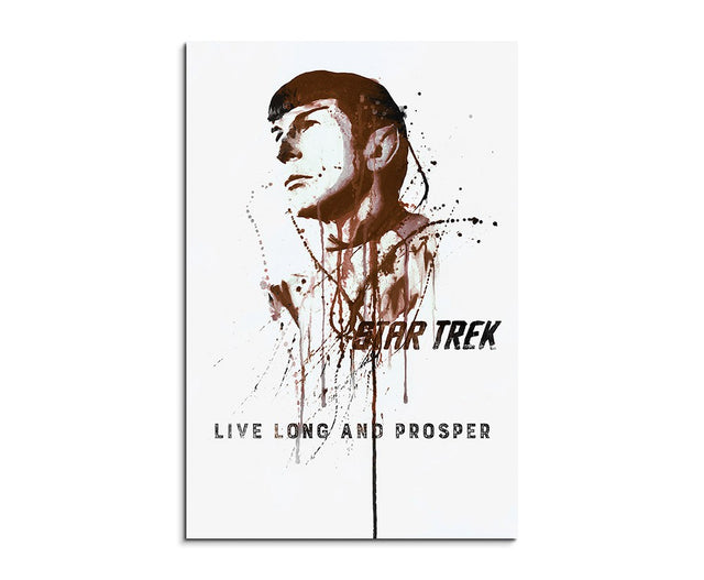 full_Star-Trek-Spock_90x60cm_FRONT_1280x1280.jpg