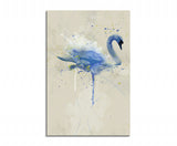 full_Swan_Aqua_90x60cm_FRONT_1280x1280.jpg
